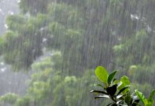 राज्यात अनेक ठिकाणी मध्यम ते मुसळधार पाऊस सुरुचं