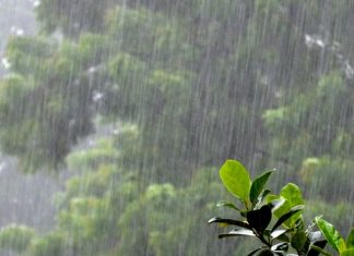 राज्यात अनेक ठिकाणी मध्यम ते मुसळधार पाऊस सुरुचं