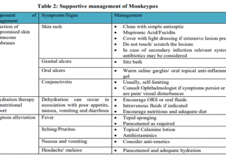 मंकी पॉक्स आजाराचं व्यवस्थापन करण्यासाठी केंद्रीय आरोग्य मंत्रालयाचे दिशा निर्देश जारी