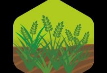 ई-पीक पाहणीसाठी नवीन सुविधायुक्त सोपे आणि सुलभ ॲप