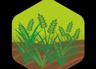 ई-पीक पाहणीसाठी नवीन सुविधायुक्त सोपे आणि सुलभ ॲप