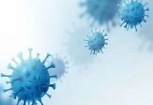 चीनमध्ये आढळला लांग्या नावाचा नवा विषाणू