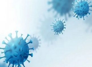 चीनमध्ये आढळला लांग्या नावाचा नवा विषाणू