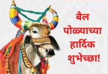 राज्यभरात आज बैलपोळा सण साजरा