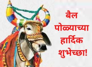 राज्यभरात आज बैलपोळा सण साजरा