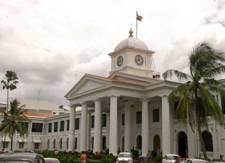 केरळमधील रेबीजच्या मृत्युंची शास्त्रीय चौकशी करण्याचा आदेश