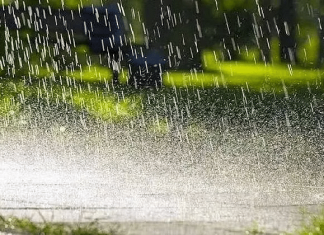 राज्याच्या अनेक भागांत पावसाची पुन्हा दमदार हजेरी