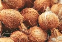 तुळजाभवानी देवीच्या शारदीय नवरात्रोत्सव काळात सोललेले नारळ आणि सुटे तेल विक्रीवर बंदी