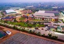 सह्याद्री फार्ममध्ये युरोपीय गुंतवणूकदारांकडून ३१० कोटी रुपयांची गुंतवणूक