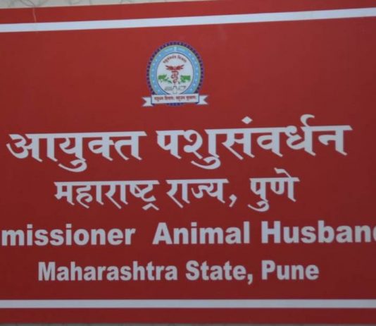 लंपी चर्मरोग बाधित पशुधनाच्या औषधांचा सर्व खर्च शासन करणार – राधाकृष्ण विखे पाटील