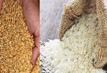 लाभार्थ्यांना धान्य घेण्याचे आवाहन