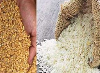 लाभार्थ्यांना धान्य घेण्याचे आवाहन