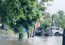 राज्याच्या विविध भागात पावसाची हजेरी