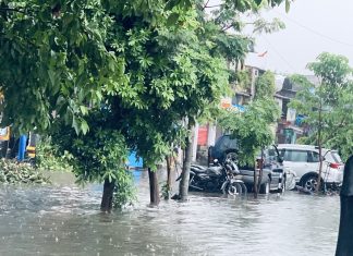 राज्याच्या विविध भागात पावसाची हजेरी