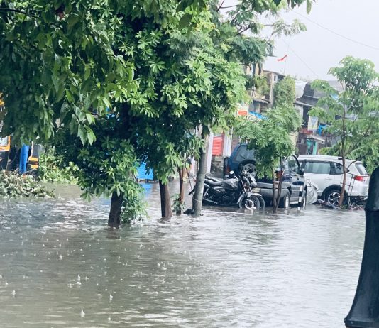 राज्याच्या विविध भागात पावसाची हजेरी