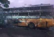 नाशिकजवळ भीषण बस अपघातात १२ जणांचा मृत्यू, ३१ जण जखमी