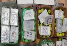 महसूल गुप्तवार्ता संचालनालयाकडून मुंबईतून ५०२ कोटी रुपयांचे अंमलीपदार्थ जप्त