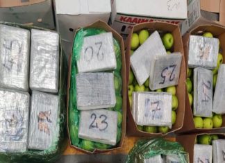 महसूल गुप्तवार्ता संचालनालयाकडून मुंबईतून ५०२ कोटी रुपयांचे अंमलीपदार्थ जप्त