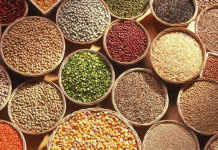 भरडधान्याच्या निर्यातीला चालना देण्यासाठी केंद्र सरकारची कृती योजना