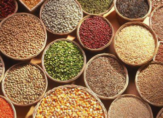 भरडधान्याच्या निर्यातीला चालना देण्यासाठी केंद्र सरकारची कृती योजना