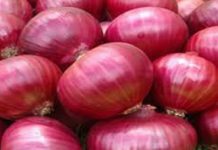 अवकाळी पावसामुळे कांद्याच्या दरात वाढ