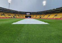 नचेतन शर्मा यांच्या नेतृत्वाखालची क्रिकेट निवड समिती बरखास्त