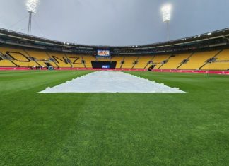 नचेतन शर्मा यांच्या नेतृत्वाखालची क्रिकेट निवड समिती बरखास्त