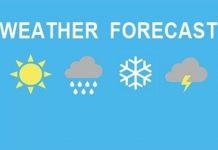 राज्यात थंडीचा कडाका वाढला, अनेक जिल्ह्यात तापमानात लक्षणीय घट