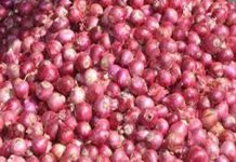 नाशिक जिल्ह्यातल्या बाजार समित्यांमध्ये उन्हाळी कांद्याच्या दरात घसरण