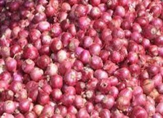 नाशिक जिल्ह्यातल्या बाजार समित्यांमध्ये उन्हाळी कांद्याच्या दरात घसरण