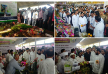 सातारा जिल्ह्यात पाचशे एकर क्षेत्रात कृषी उद्योग उभारण्याची मुख्यमंत्री एकनाथ शिंदे यांची घोषणा