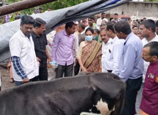 लम्पी चर्मरोगामुळे मृत्युमुखी पडलेल्या ३९७३ पशूंची नुकसान भरपाई पशूपालकांच्या खात्यावर जमा