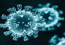 देशात गेल्या २४ तासांत कोरोनाचे १ हजार ९६ नवीन रुग्ण