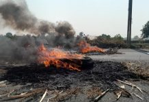 हिंगोली जिल्ह्यात स्वाभिमानी शेतकरी संघटनेचं आंदोलन