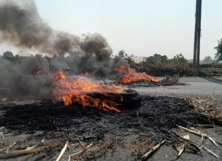 हिंगोली जिल्ह्यात स्वाभिमानी शेतकरी संघटनेचं आंदोलन