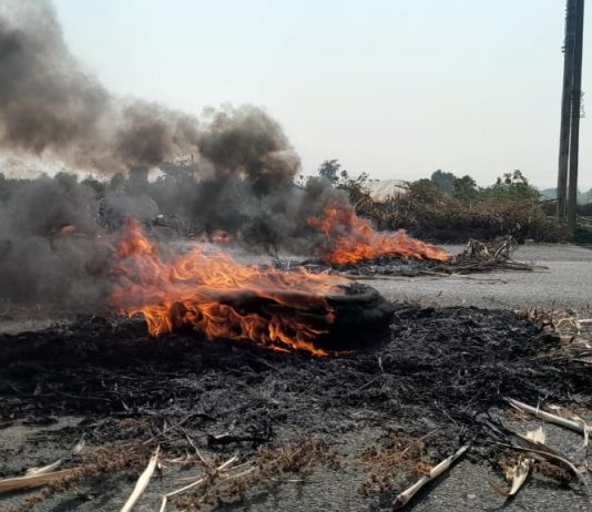 हिंगोली जिल्ह्यात स्वाभिमानी शेतकरी संघटनेचं आंदोलन