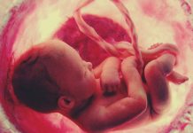 गर्भावस्थेत केलेल्या चाचण्यांच्या आधारे गर्भाचे जनुकीय आजार निदान शक्य