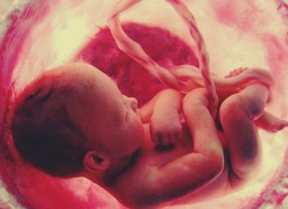 गर्भावस्थेत केलेल्या चाचण्यांच्या आधारे गर्भाचे जनुकीय आजार निदान शक्य