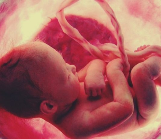 गर्भावस्थेत केलेल्या चाचण्यांच्या आधारे गर्भाचे जनुकीय आजार निदान शक्य