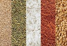 भोगी- मकर संक्रांतीला “पौष्टिक तृणधान्य दिन” साजरा करण्याचं कृषी विभागाचं आवाहन