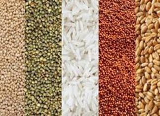 भोगी- मकर संक्रांतीला “पौष्टिक तृणधान्य दिन” साजरा करण्याचं कृषी विभागाचं आवाहन