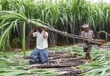 २०२१ ऑक्टोबर आणि सप्टेंबर या कालावधीत भारत हा जगातला सर्वात मोठा साखर उत्पादक आणि ग्राहक देश