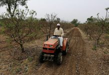 मेहनत, जिद्द आणि शासनाची साथ…! ; खडकाळ माळरानावर फुललेल्या फळबागेचा शेतकऱ्याला हात