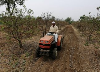 मेहनत, जिद्द आणि शासनाची साथ…! ; खडकाळ माळरानावर फुललेल्या फळबागेचा शेतकऱ्याला हात