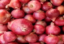 कांद्याला बाराशे रुपये क्विंटल असा भाव मिळाला पाहिजे असं केंद्रीय कृषिमंत्री शरद पवार यांचं मत