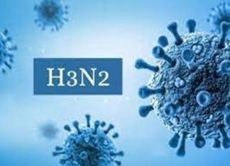 H3N2 या विषाणूचा प्रादुर्भाव वाढत असल्याच्या पार्श्वभूमीवर राज्यशासनाचा आरोग्य यंत्रणेला सतर्कतेचा इशारा
