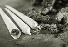 हिंगोली जिल्ह्यात गांजाचा साठा जप्त