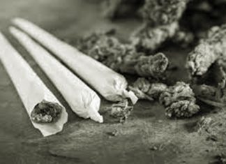 हिंगोली जिल्ह्यात गांजाचा साठा जप्त