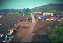 रस्त्यांच्या दोन्ही बाजूला फळभाज्यां लावून गाव प्रदुषणमुक्त