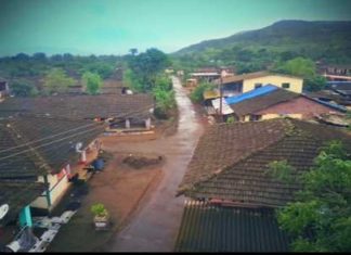 रस्त्यांच्या दोन्ही बाजूला फळभाज्यां लावून गाव प्रदुषणमुक्त